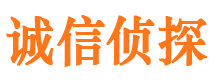 定结市私家侦探